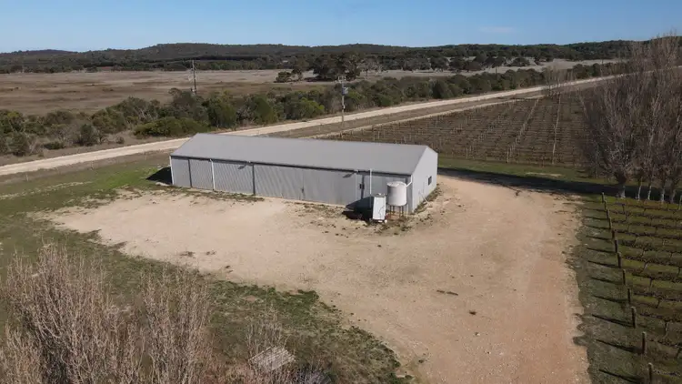 Third view of Homely rural property listing, 503 Old Naracoorte Rd, Robe SA 5276