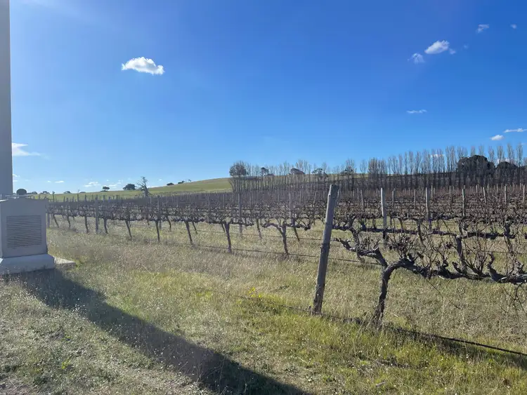 Sixth view of Homely rural property listing, 503 Old Naracoorte Rd, Robe SA 5276