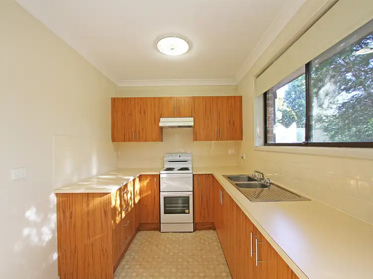 Third view of Homely unit listing, Unit 1/3 Dunlop Cl, Singleton Heights NSW 2330