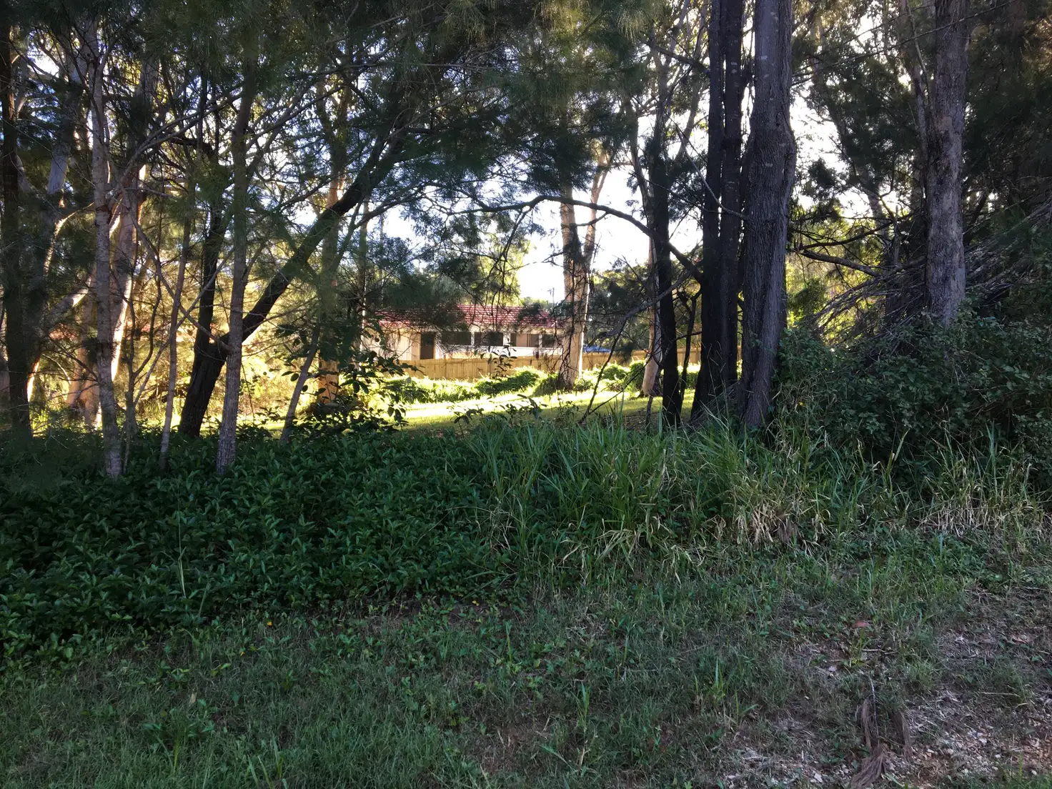 Main view of Homely land listing, 50-52 Cowderoy Dr, Russell Island QLD 4184