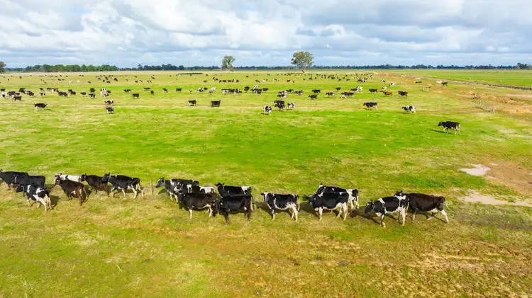 Third view of Homely rural property listing, 'Pinelee'/120 Sandford Road, Corowa NSW 2646