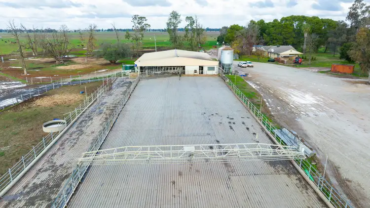 Sixth view of Homely rural property listing, 'Pinelee'/120 Sandford Road, Corowa NSW 2646