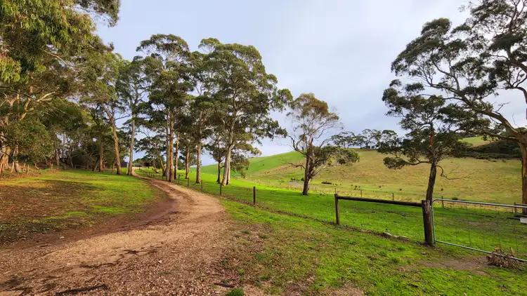 Second view of Homely house listing, 209 Macclesfield Rd, Meadows SA 5201