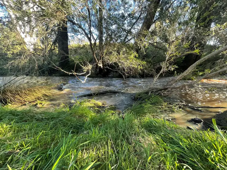 Main view of Homely house listing, Lot 117 Mount Gammie Road, Thanes Creek QLD 4370