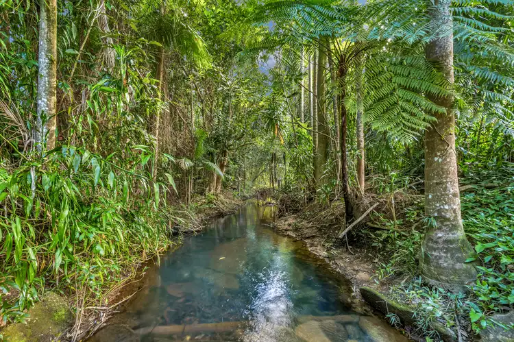 Sixth view of Homely house listing, 396 Tully Mission Beach Rd, Merryburn QLD 4854