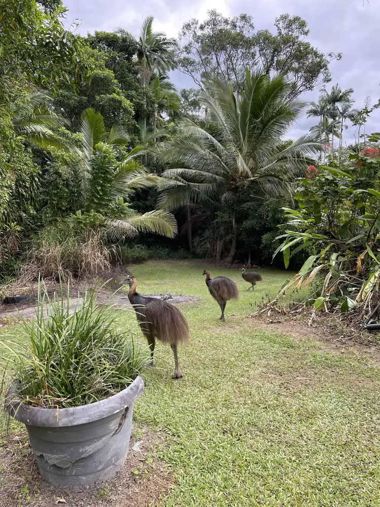 Seventh view of Homely house listing, 396 Tully Mission Beach Rd, Merryburn QLD 4854