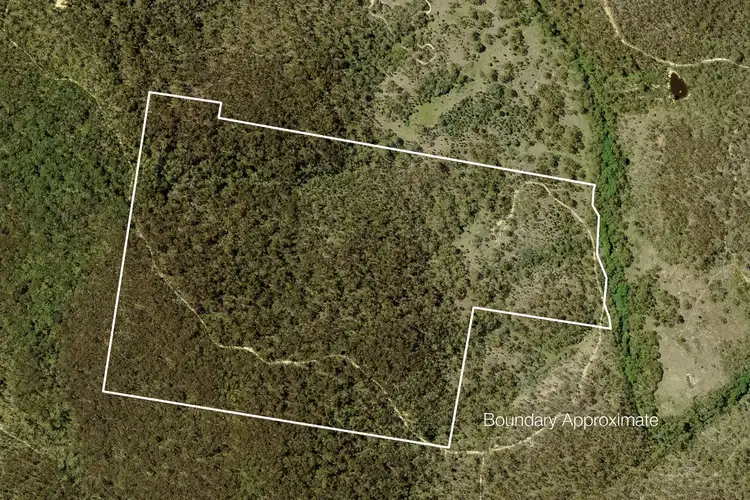 Main view of Homely land listing, LOT 80, 323 North Black Range Fire Trl, Mulloon NSW 2622