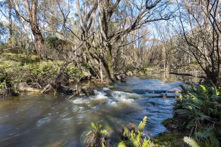 Fourth view of Homely land listing, LOT 80, 323 North Black Range Fire Trl, Mulloon NSW 2622