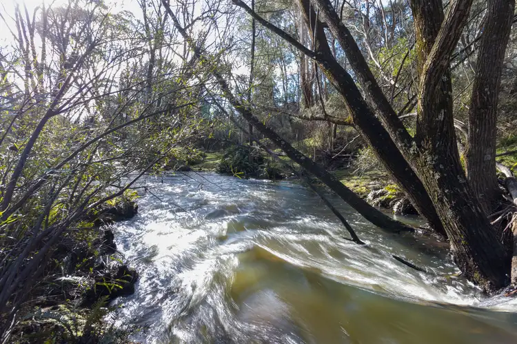 Seventh view of Homely land listing, LOT 80, 323 North Black Range Fire Trl, Mulloon NSW 2622