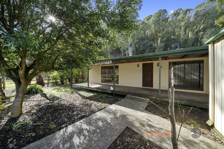 Third view of Homely rural property listing, 1935 Thowgla Rd, Thowgla Valley VIC 3707