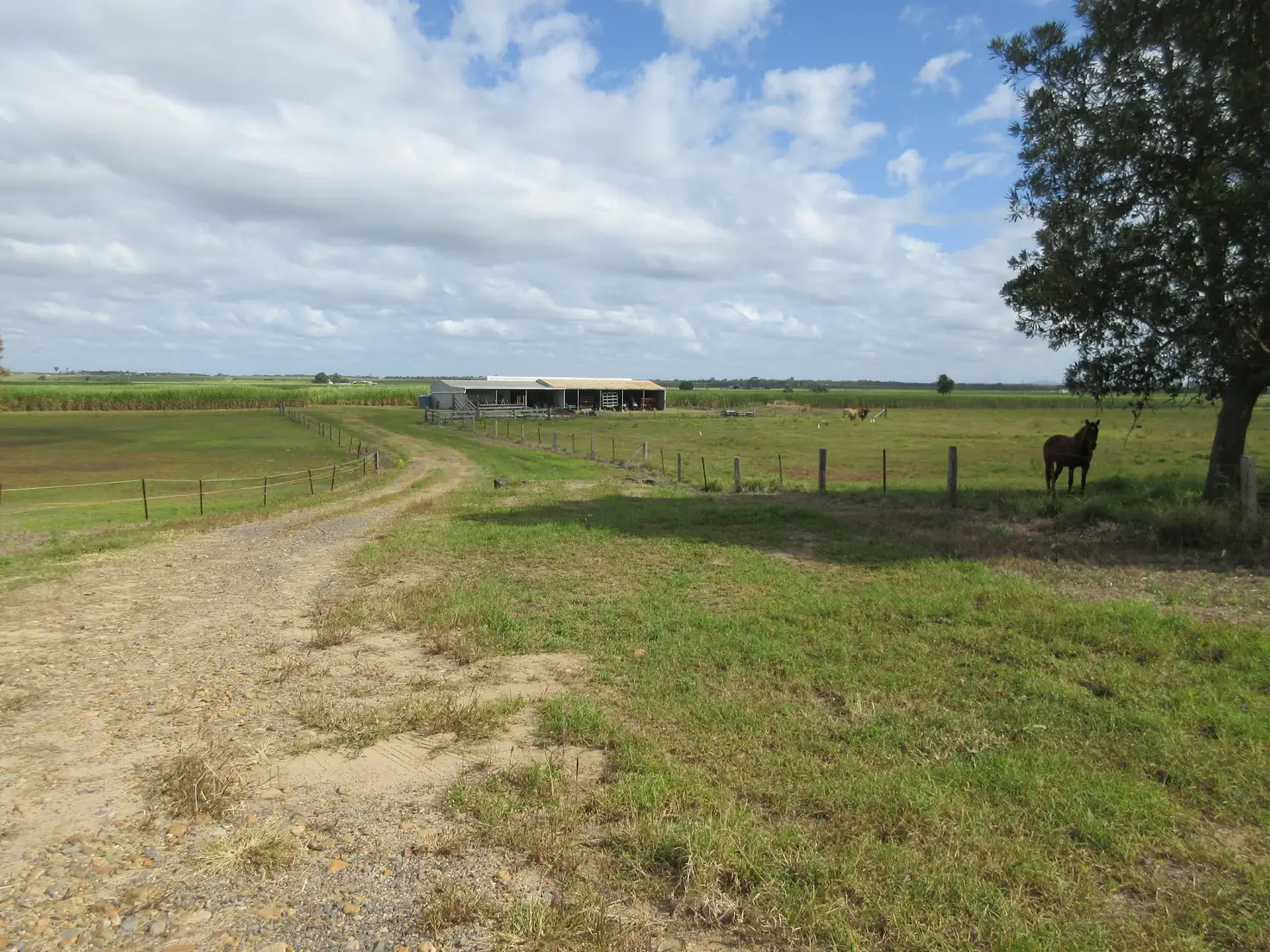 Main view of Homely rural property listing, 267 Murdochs Road, Moore Park Beach QLD 4670