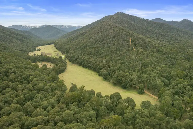 Main view of Homely rural property listing, CA 1A Buckland River Road, Buckland VIC 3740