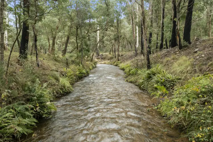Fourth view of Homely rural property listing, CA 1A Buckland River Road, Buckland VIC 3740