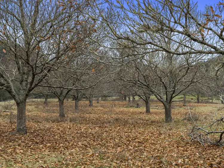 Fifth view of Homely rural property listing, CA 1A Buckland River Road, Buckland VIC 3740