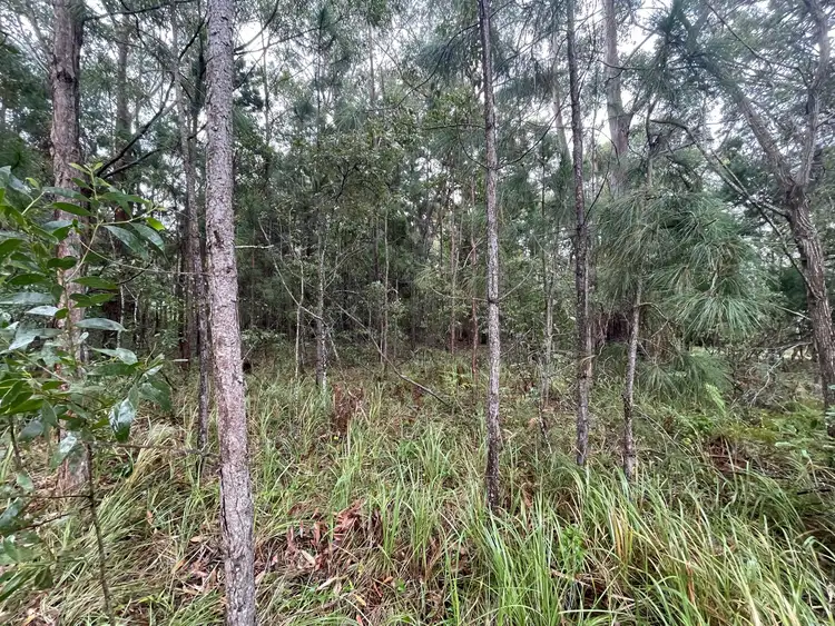 Sixth view of Homely land listing, 9-11 Fernbrook Ave, Russell Island QLD 4184