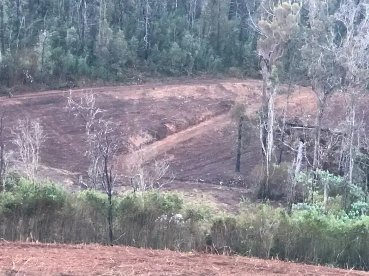 Second view of Homely rural property listing, 250 Rocky Gully Rd, Toorooka NSW 2440