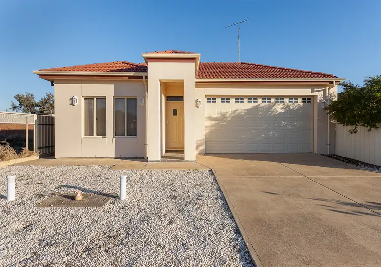 8 Phillips St