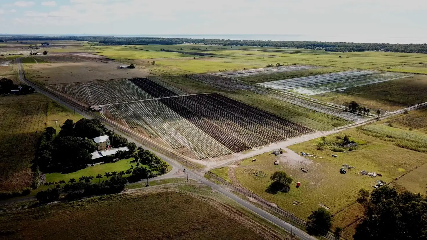 Main view of Homely rural property listing, LOT 2 Lindemans Rd, Moore Park Beach QLD 4670