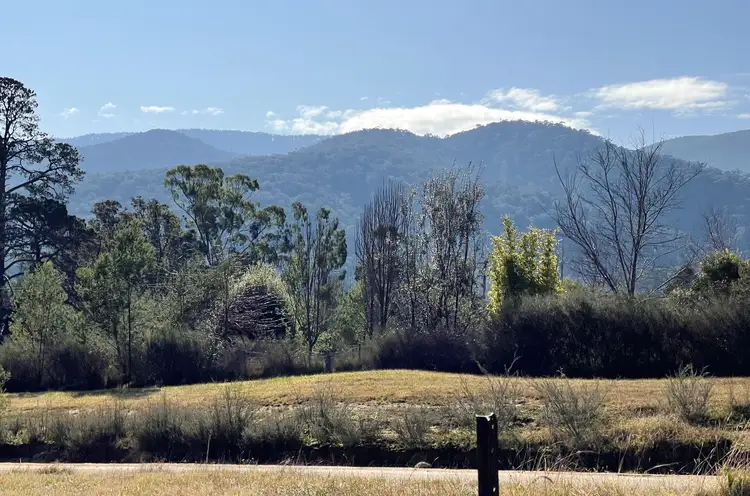 Third view of Homely rural property listing, 20-22 Nangutta St, Towamba NSW 2550