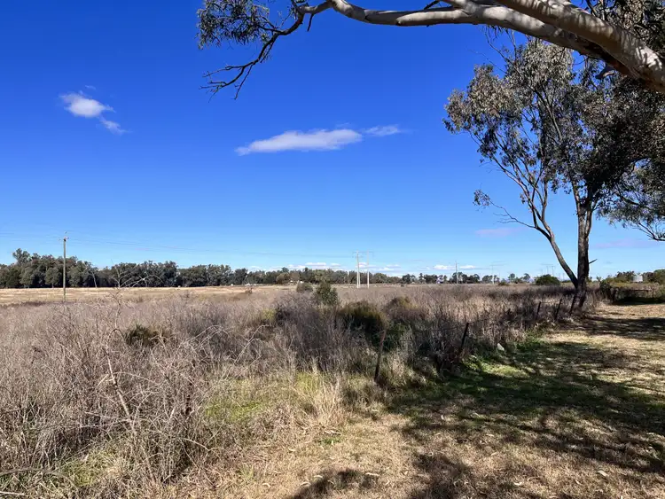 Fourth view of Homely rural property listing, 62 Grantham St, Boggabri NSW 2382