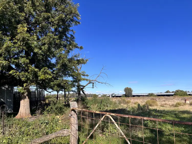 Fifth view of Homely rural property listing, 62 Grantham St, Boggabri NSW 2382
