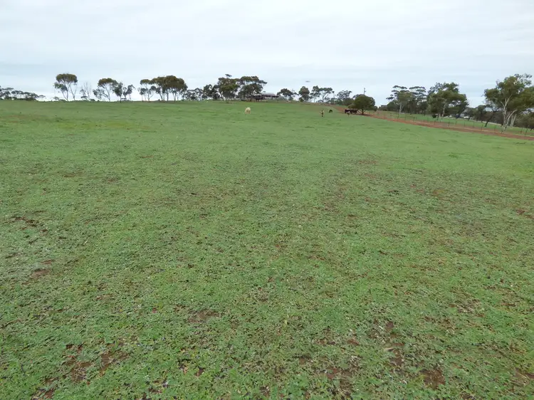 Sixth view of Homely land listing, 102 Eighth Road, Bejoording WA 6566