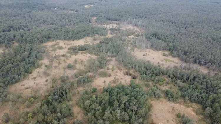Fifth view of Homely rural property listing, 801 Chain O Ponds Road, Collombatti NSW 2440