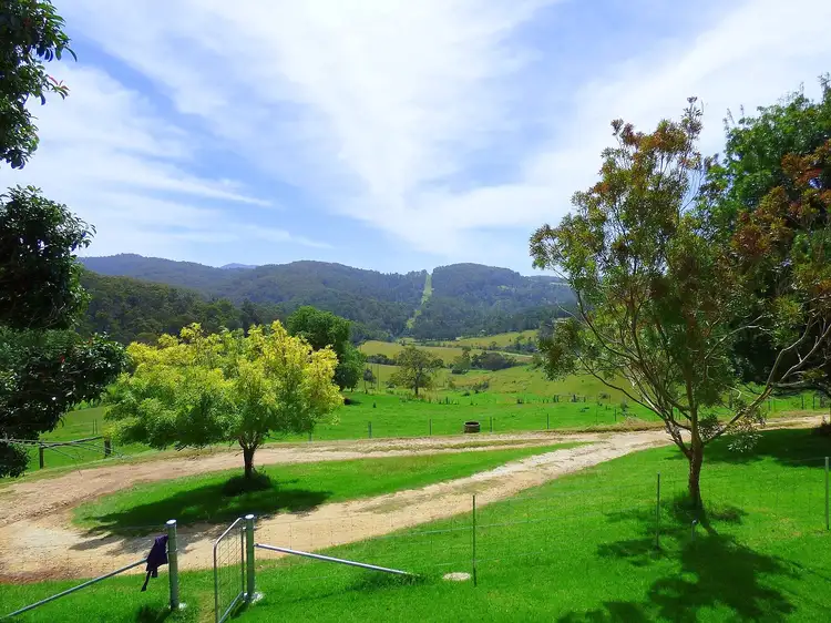 Second view of Homely rural property listing, 200 Ballantyne Rd, Nethercote NSW 2549
