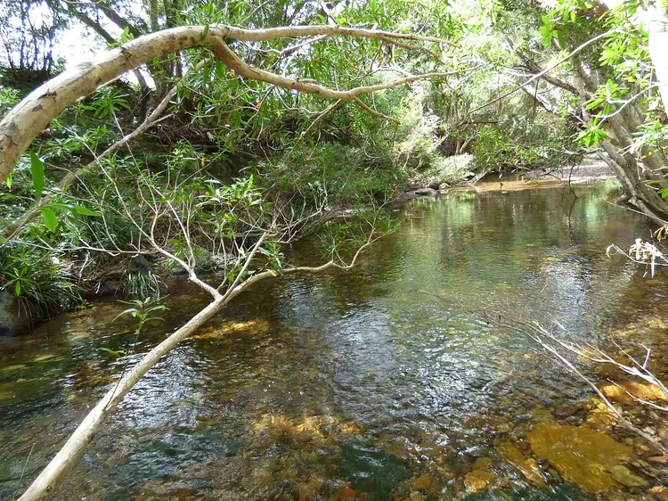 Third view of Homely rural property listing, 200 Ballantyne Rd, Nethercote NSW 2549