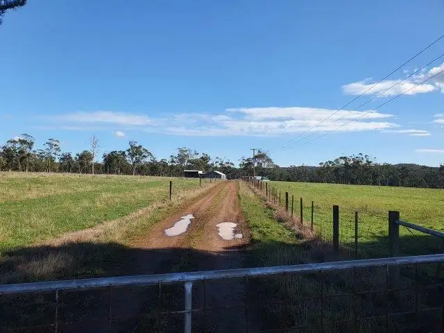 Main view of Homely rural property listing, 339 Back Creek Rd, Pipers River TAS 7252