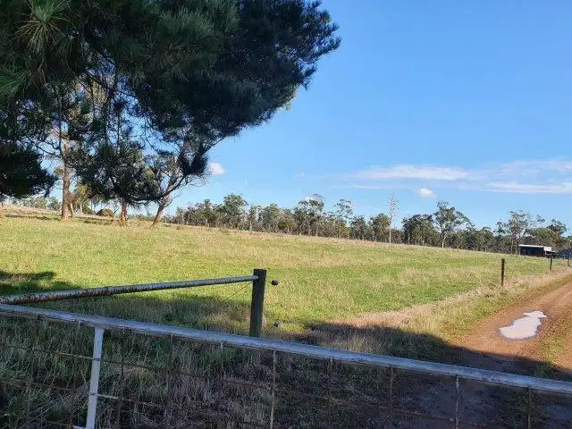 Second view of Homely rural property listing, 339 Back Creek Rd, Pipers River TAS 7252