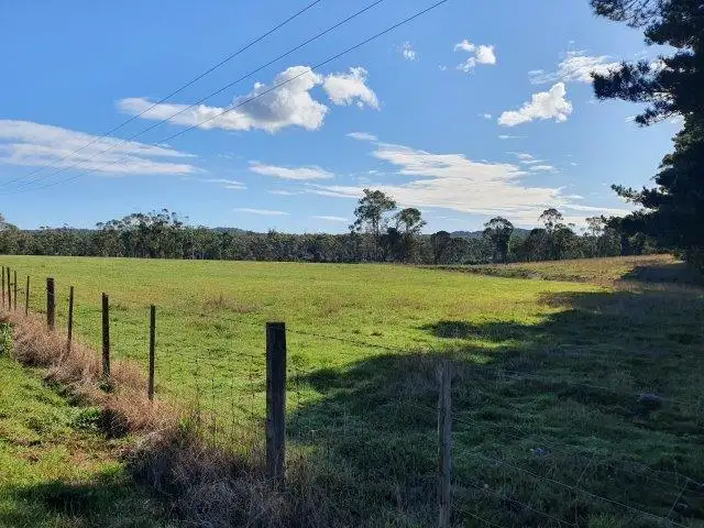 Third view of Homely rural property listing, 339 Back Creek Rd, Pipers River TAS 7252