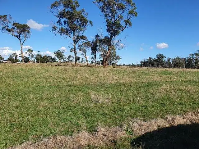 Fourth view of Homely rural property listing, 339 Back Creek Rd, Pipers River TAS 7252