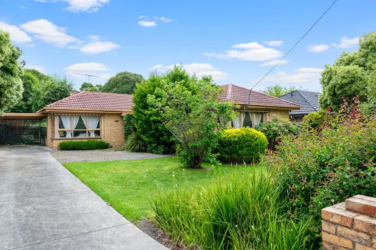 Main view of Homely house listing, 41 Haig St, Burwood VIC 3125