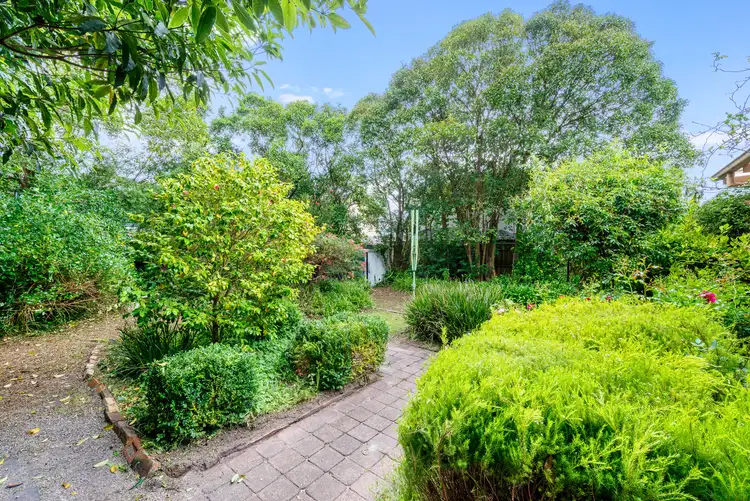 Third view of Homely house listing, 41 Haig St, Burwood VIC 3125