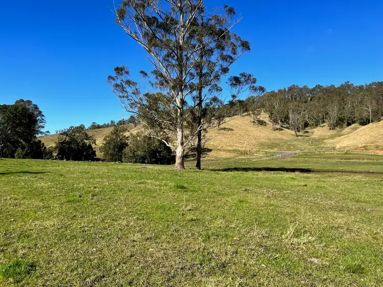 Sixth view of Homely land listing, 318 Hillyards Road, Kyogle NSW 2474
