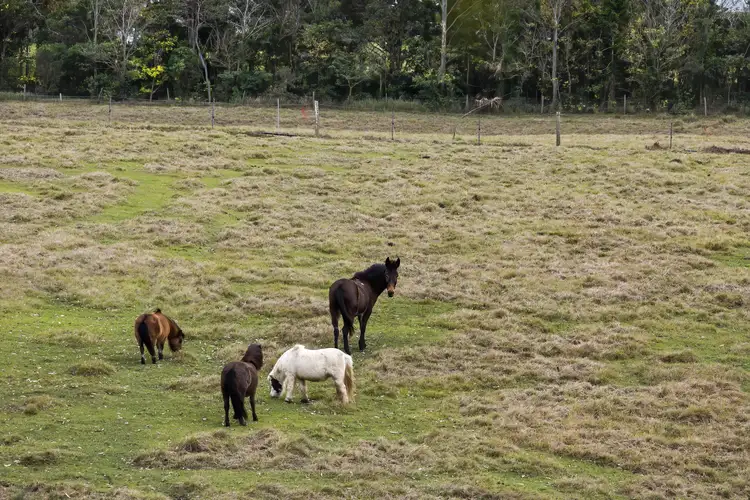 Third view of Homely land listing, 37 Power Rd, Southside QLD 4570