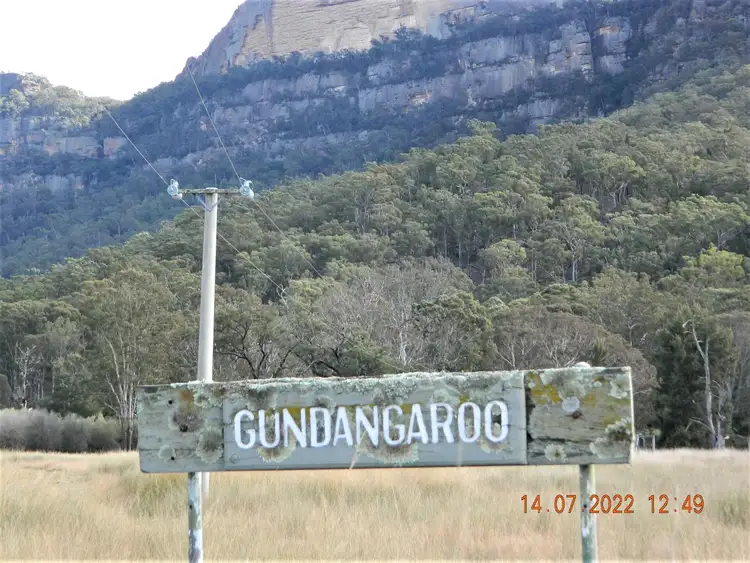 Third view of Homely rural property listing, 311 The Gullies Rd, Glen Davis NSW 2846