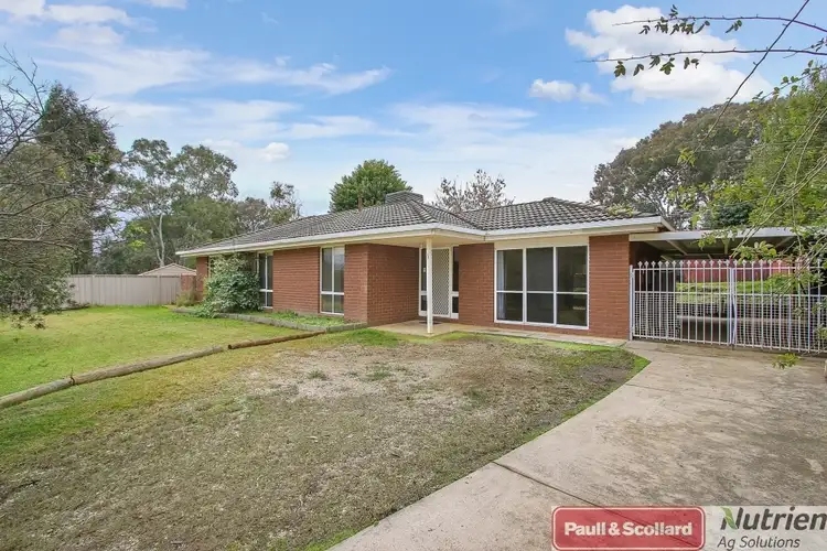 Main view of Homely house listing, 19 Tallowwood St, Thurgoona NSW 2640