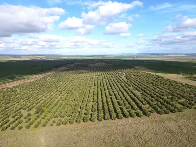 Second view of Homely rural property listing, 404 Huddleston Rd, Crystal Brook SA 5523