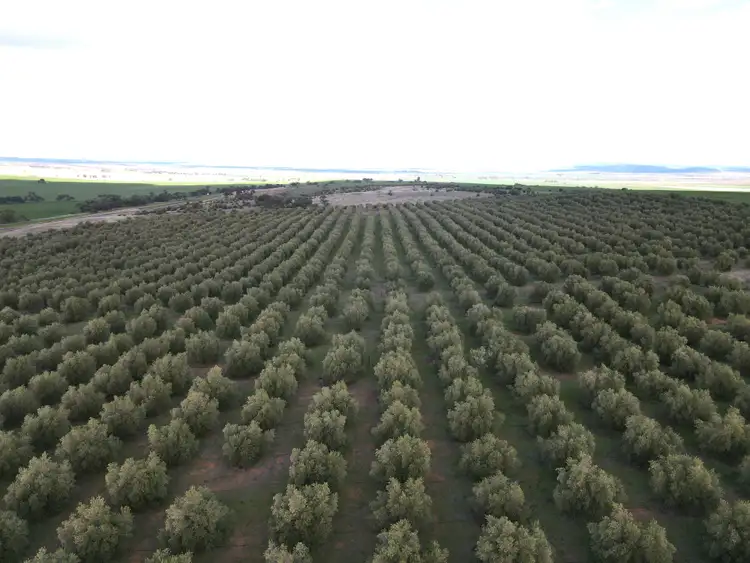 Third view of Homely rural property listing, 404 Huddleston Rd, Crystal Brook SA 5523