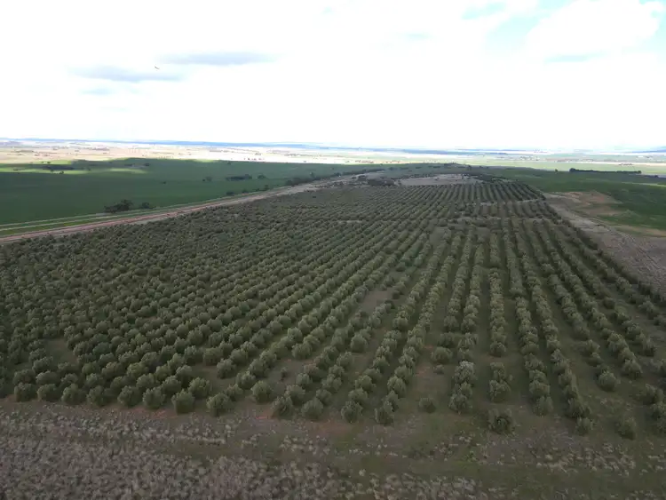 Fourth view of Homely rural property listing, 404 Huddleston Rd, Crystal Brook SA 5523