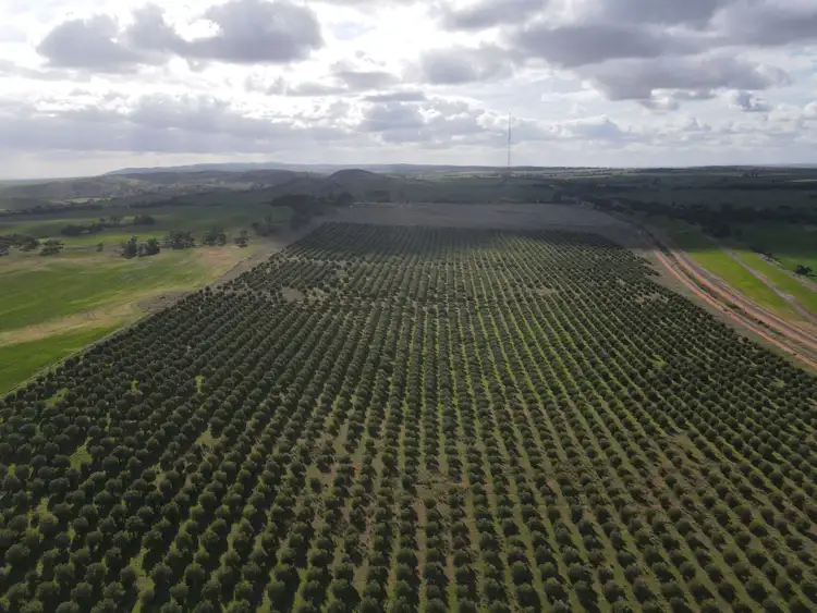 Fifth view of Homely rural property listing, 404 Huddleston Rd, Crystal Brook SA 5523