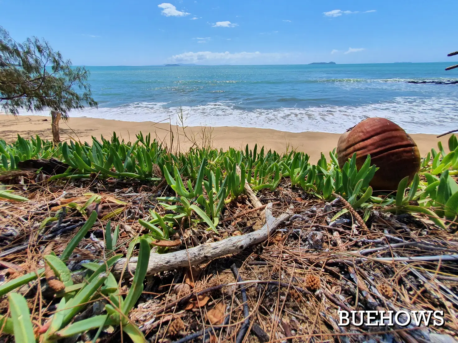 Main view of Homely house listing, 7 Ryan St, Zilzie QLD 4710