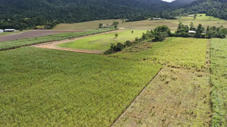 Second view of Homely land listing, LOT 207 Old Tully Rd, Djarawong QLD 4854