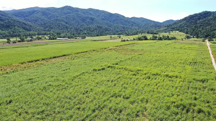 Fourth view of Homely land listing, LOT 207 Old Tully Rd, Djarawong QLD 4854