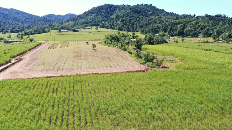 Sixth view of Homely land listing, LOT 207 Old Tully Rd, Djarawong QLD 4854