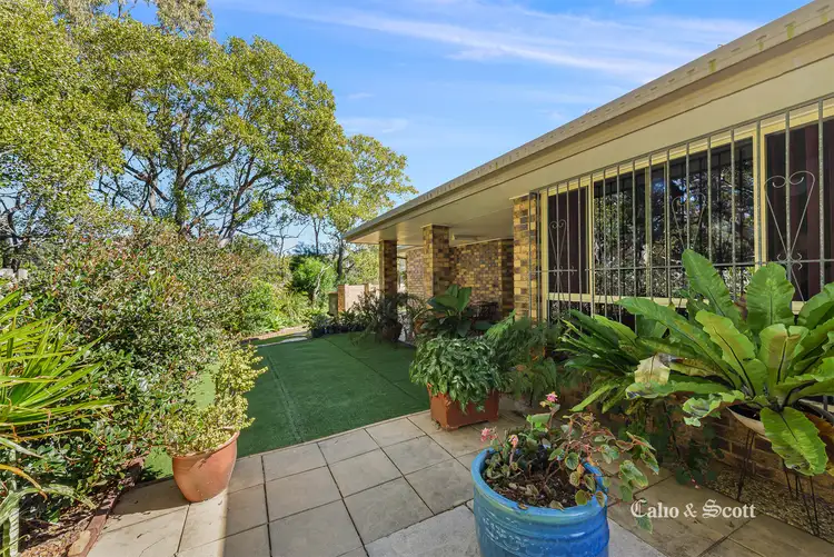 Main view of Homely house listing, 116 Adams St, Deagon QLD 4017