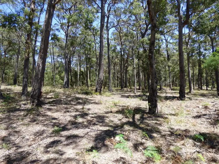 Seventh view of Homely land listing, Lot 73 Gleeson Road, WONBOYN Via, Eden NSW 2551