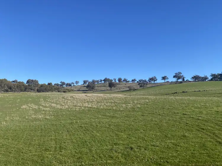 Seventh view of Homely rural property listing, Sec 583 & 584 Survey Rd, Bangor SA 5481